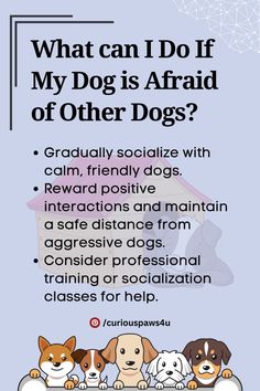 a poster with the words what can i do if my dog is afraid of other dogs?