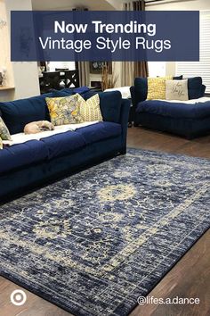 a living room with blue couches and rugs