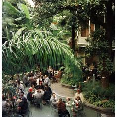 people are sitting at tables in the middle of an outdoor garden with lots of greenery