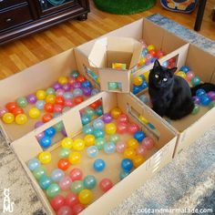 a black cat sitting in a cardboard box filled with balls and plastic toys on the floor