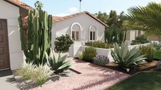 an artist's rendering of a house with cactus and succulents in the front yard