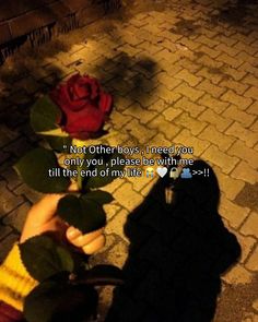 someone holding a red rose in their hand with the caption not other boys, they say you