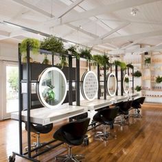 an office with lots of chairs and plants on the desks in front of them