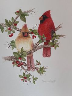 two birds are sitting on a branch with berries