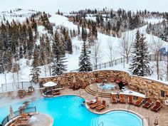 an outdoor pool surrounded by snow covered trees