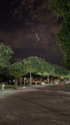 people are sitting on benches under trees at night