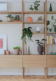 a wooden shelf filled with potted plants next to a wall mounted art print on the wall