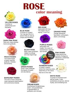 an image of roses that are color meanings in different colors and sizes, with the words rose on it