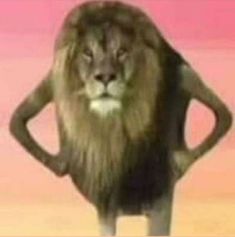 a lion standing with its hands on his hips