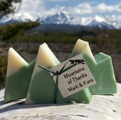 two soap bars sitting on top of a piece of wood with mountains in the background