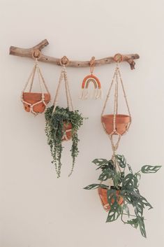 three hanging planters with plants in them on a wall next to a wooden branch