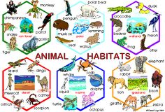 an animal habitat diagram with different animals and their names in the circle, transparent background