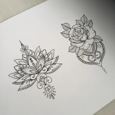 a drawing of two flowers on a piece of paper