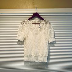 Express Women’s Light Cream/White Lace Top Nwt Size Small. Embroidered Lace Elastic Waist And Arm Bands Wear It To Work Or Dress Up Jeans, Shorts Or Even A Skirt With This Super Cute Top! This Top Is Very Versatile And Staple To Any Closet. I Purchased As A Gift, But Ended Up Giving Something Else Instead. Embroidered Lace Top, Dress Up Jeans, White Lace Top, Light Cream, Cute Top, Embroidered Lace, Cute Tops, Cream White, Jeans Shorts