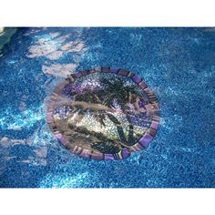 the reflection of a palm tree in a swimming pool's surface is seen from above