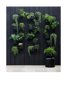 a wall mounted planter filled with lots of green plants next to a black vase