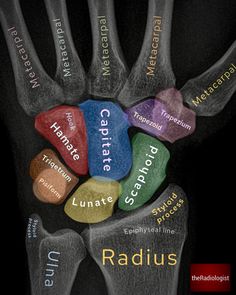 an image of a hand with the words raduus on it's fingers