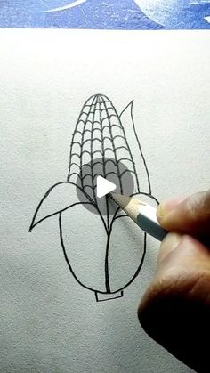 someone is drawing a corn on the cob