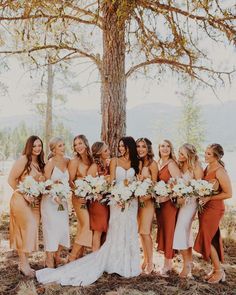 a group of women standing next to each other in front of a tree