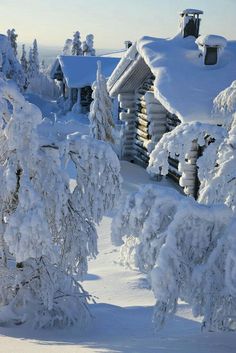 snow covered trees and houses in the background