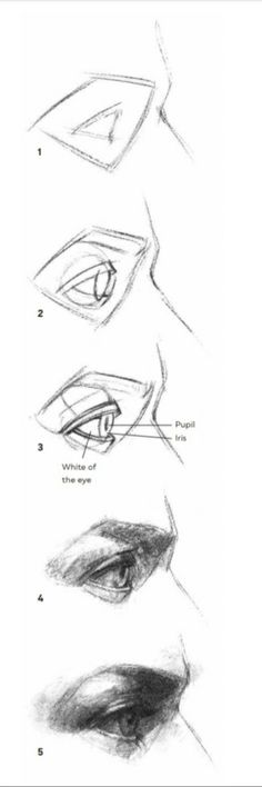 the steps to draw an eye with pencils on paper, including eyes and eyebrows