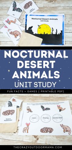 an animal unit with pictures and text that says, nocturnnal desert animals unit study