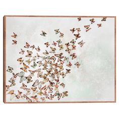 a group of butterflies flying in the air over a white background with a wooden frame