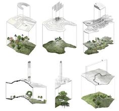 an image of different types of trees and plants in various stages of development, with the same type of vegetation growing on land