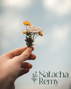 a hand holding a flower with the words natach remy written on it in front of a blue sky