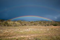 two rainbows are in the sky over a grassy area with trees and grass on both sides