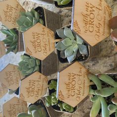 Watch Me Grow Succulent Tags / Baby Shower Favors succulent Tagswatch Me Grow Favor Tags Watch Me Grow Sticks succulent Not Included - Etsy