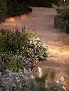 a garden with various plants and flowers on the side walk at night, lit by street lights