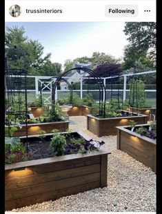 an outdoor garden with lots of plants and lights