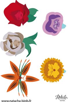 four different flowers are shown in the shape of an animal's head and leaves