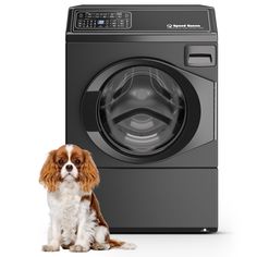 a brown and white dog sitting next to a washing machine