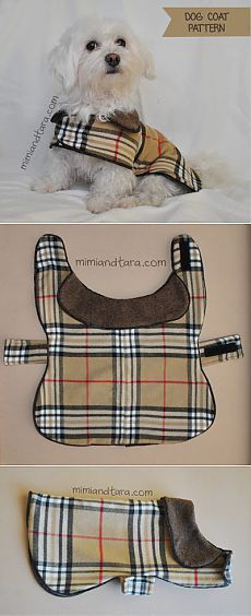 three pictures of different dog clothes and accessories