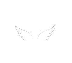 the outline of an angel's wings is shown in this drawing, it appears to be white