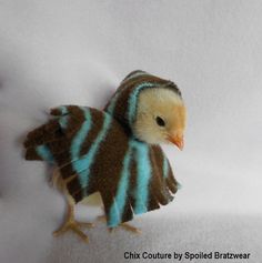 a small stuffed bird sitting on top of a white surface next to a brown and blue object