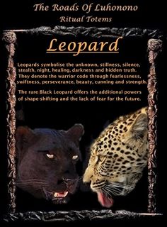 two leopards with their mouths open in front of a sign that says leopard and leopard