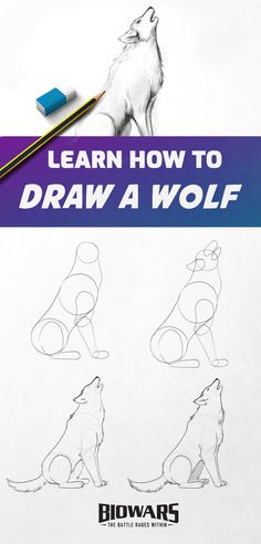 A collage of images depicting the process of wolf drawing. Wolf Sketch Easy Step By Step, Wolf Sketch Tutorial, How To Draw A Werewolf, Step By Step Wolf Drawing, How To Draw A Wolf Step By Step, How To Draw Wolves, Wolf Cute Drawing, Wolve Drawings