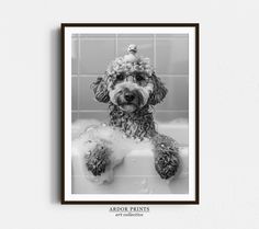 a black and white photo of a dog taking a bath