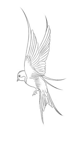 a bird flying in the sky with its wings spread