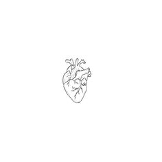 a black and white drawing of a human heart