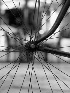 the spokes and front wheel of a bicycle