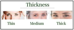 Eyebrow Shapes | Different Eyebrow Shapes Eyebrow Wigs, Eyebrow Stencil, Brow Brush