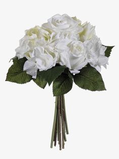 a bouquet of white flowers with green leaves on a white background for use as a decoration