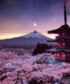 a person standing on top of a hill with cherry blossoms in front of the mountain