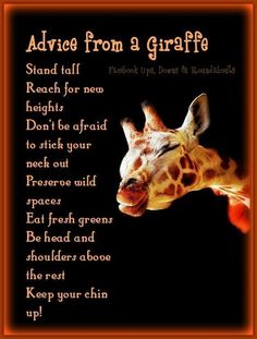 a giraffe's head with the words advice from a person