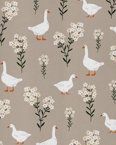 white ducks and flowers on a gray background