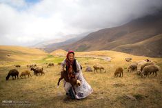 a woman is standing in a field with sheep and goats behind her on a cloudy day